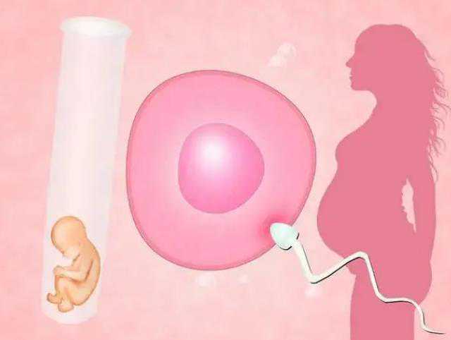 长沙代怀价格表,试管婴儿失败两次，长沙哪家医院内膜薄胚胎移植有经验？